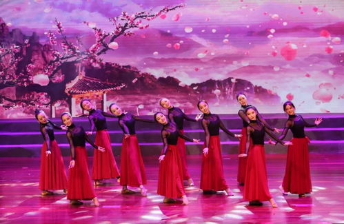 花開正當時，舞動少年夢——天臺縣少兒舞蹈成果展演圓滿落幕